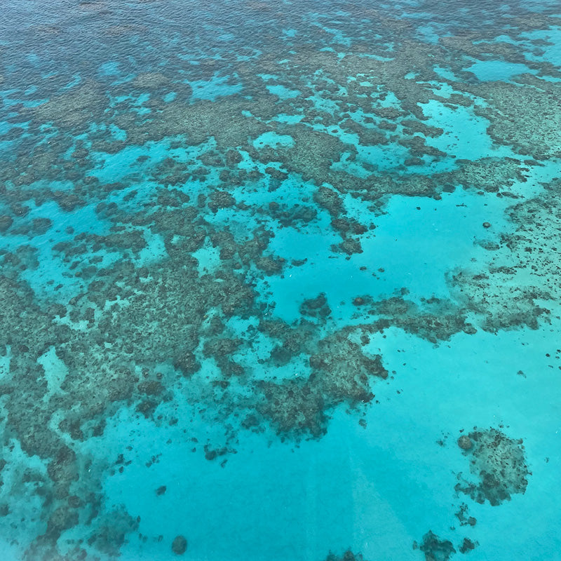 Aerial view of the Great Barrier Reef