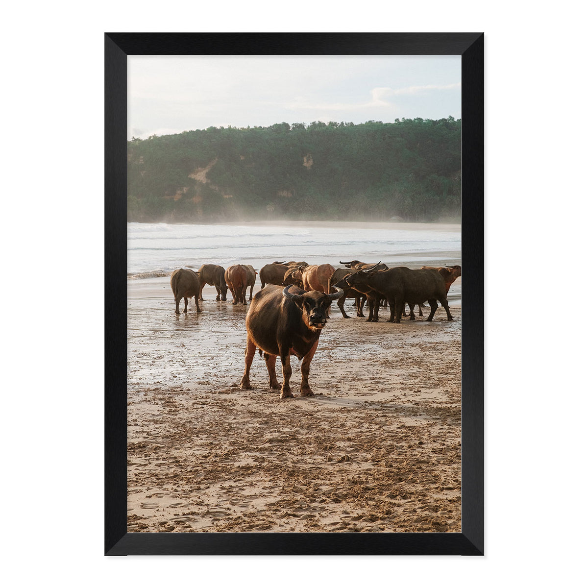 Buffalo Beach Print