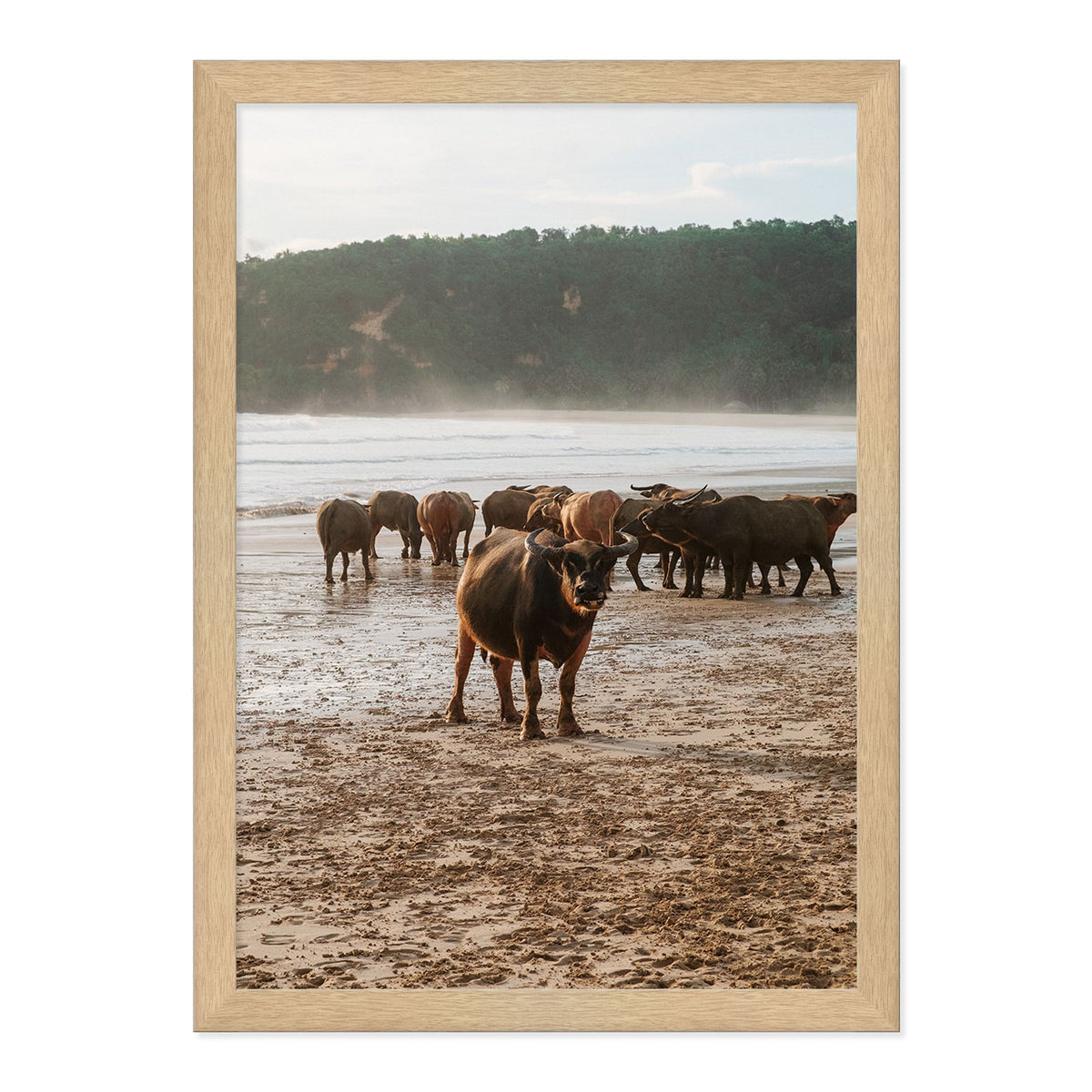 Buffalo Beach Print
