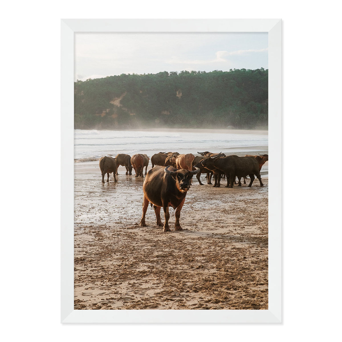 Buffalo Beach Print