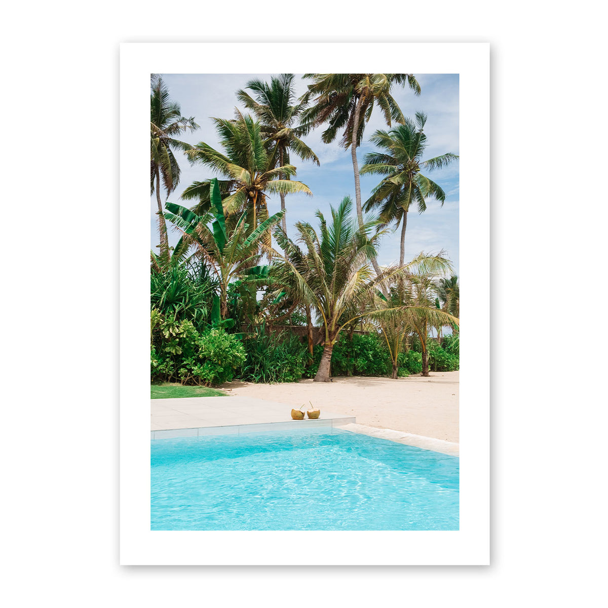 Framed artwork of coconuts by the pool with palm trees in the background.