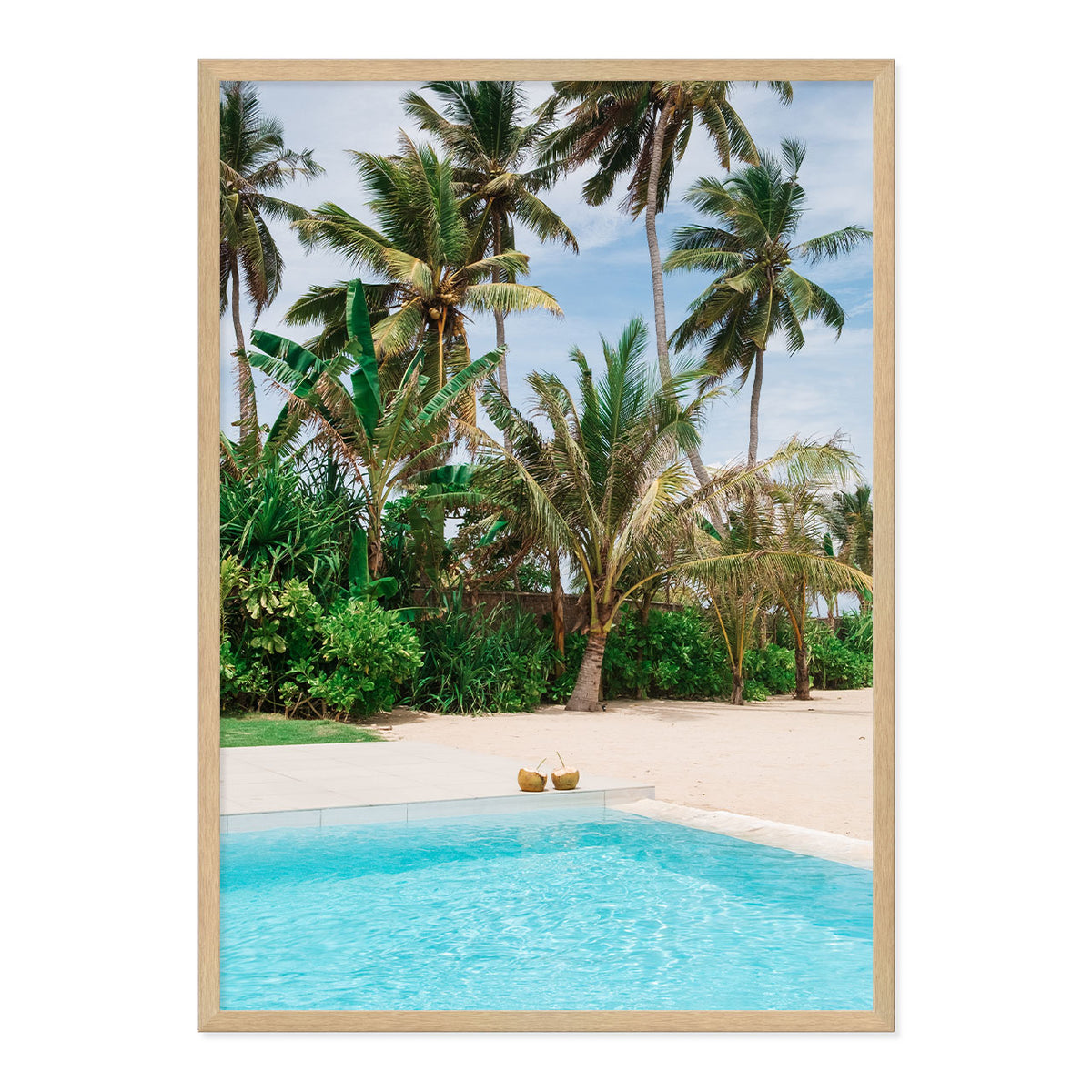 Framed artwork of coconuts by the pool with palm trees in the background.