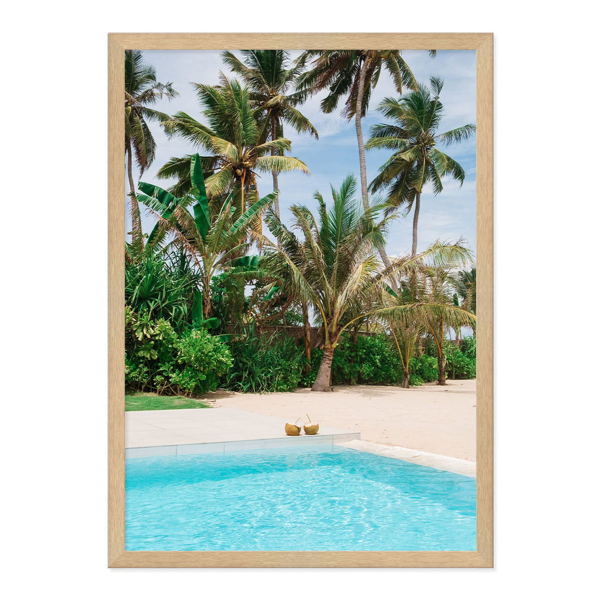 Framed artwork of coconuts by the pool with palm trees in the background.