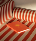 Outside In Book on a striped lounger