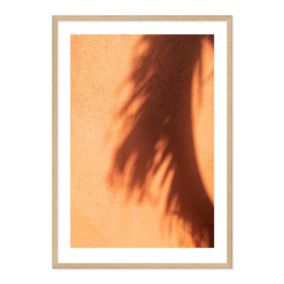 Framed artwork of a palm leaf shadow on a textured terracotta wall.