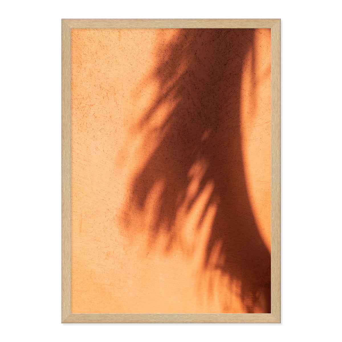 Framed artwork of a palm leaf shadow on a textured terracotta wall.