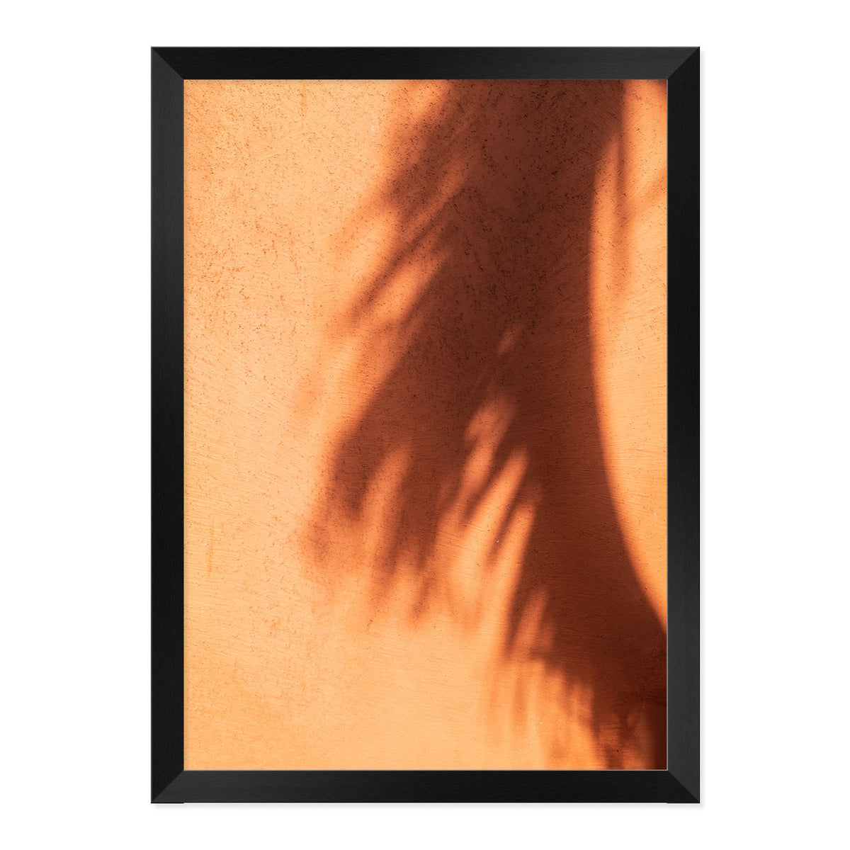Shady Palms Print
