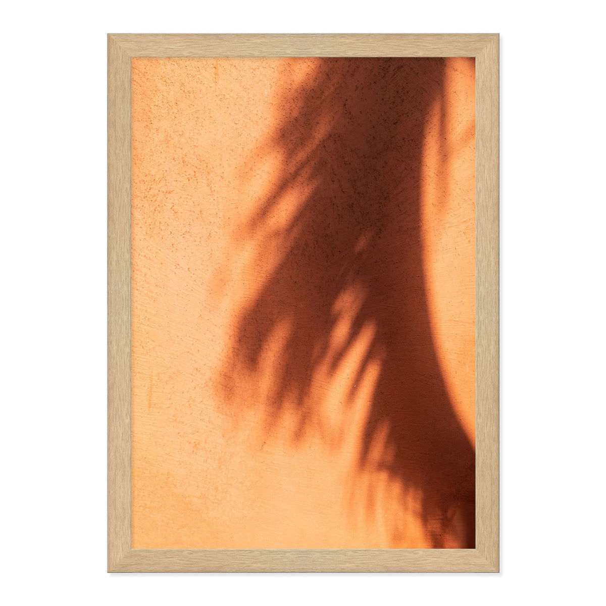 Shady Palms Print