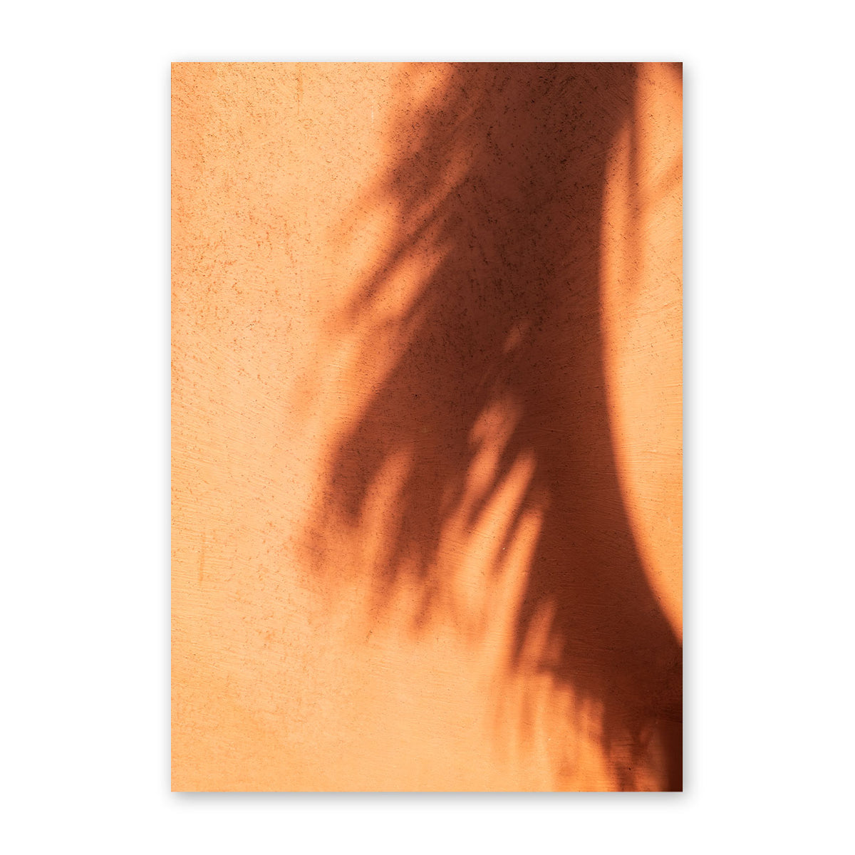 Shady Palms Print