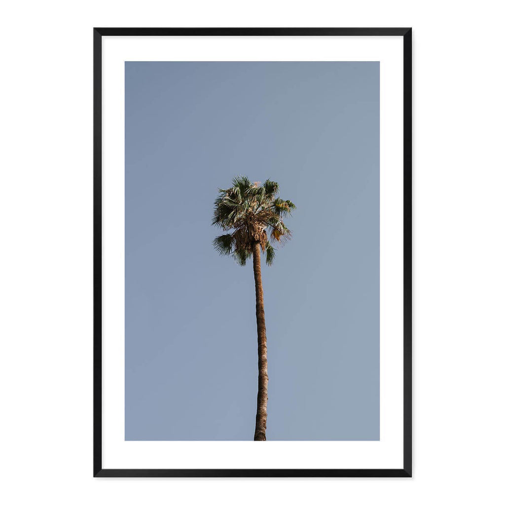 Palm Tree Print