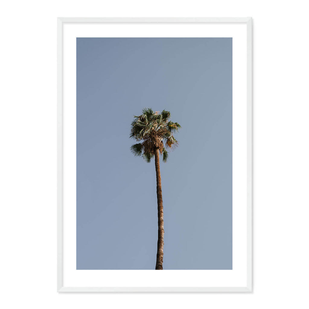 Palm Tree Print
