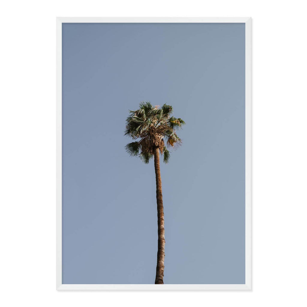Palm Tree Print