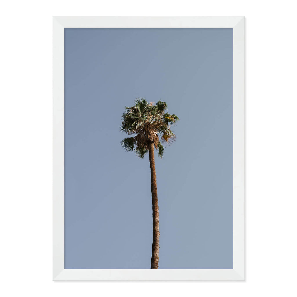 Palm Tree Print