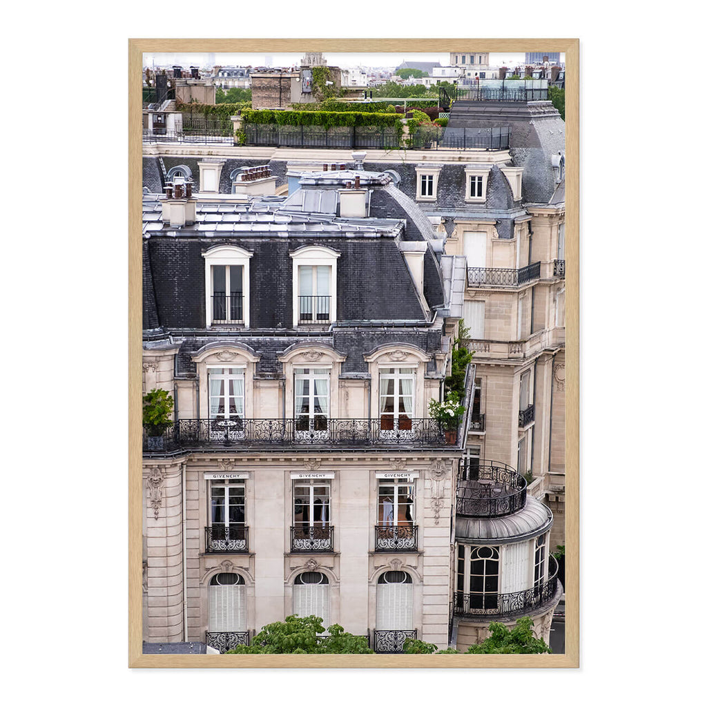 Parisian Rooftops Print