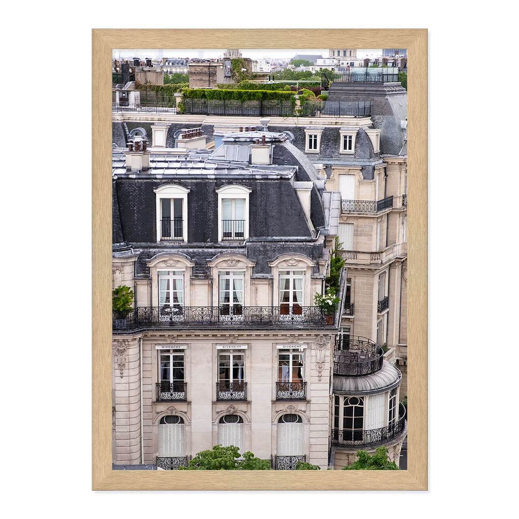 Parisian Rooftops Print