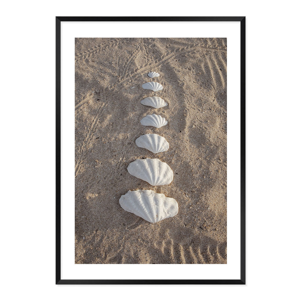 Framed photograph of seashells arranged in a line on sand