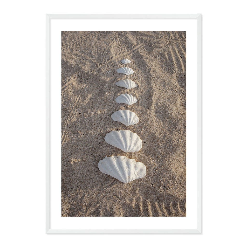 Framed photograph of seashells arranged in a line on sand