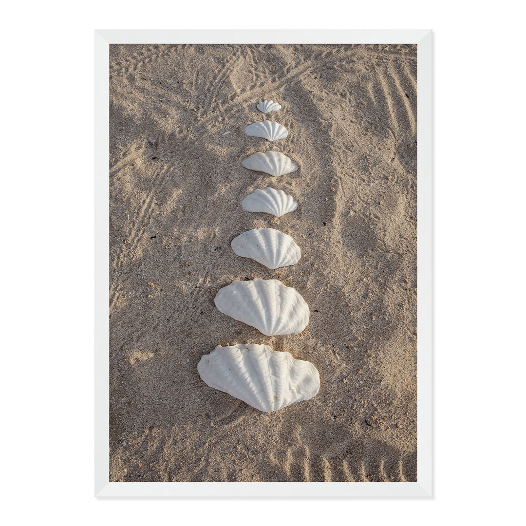 Framed photograph of seashells arranged in a line on sand
