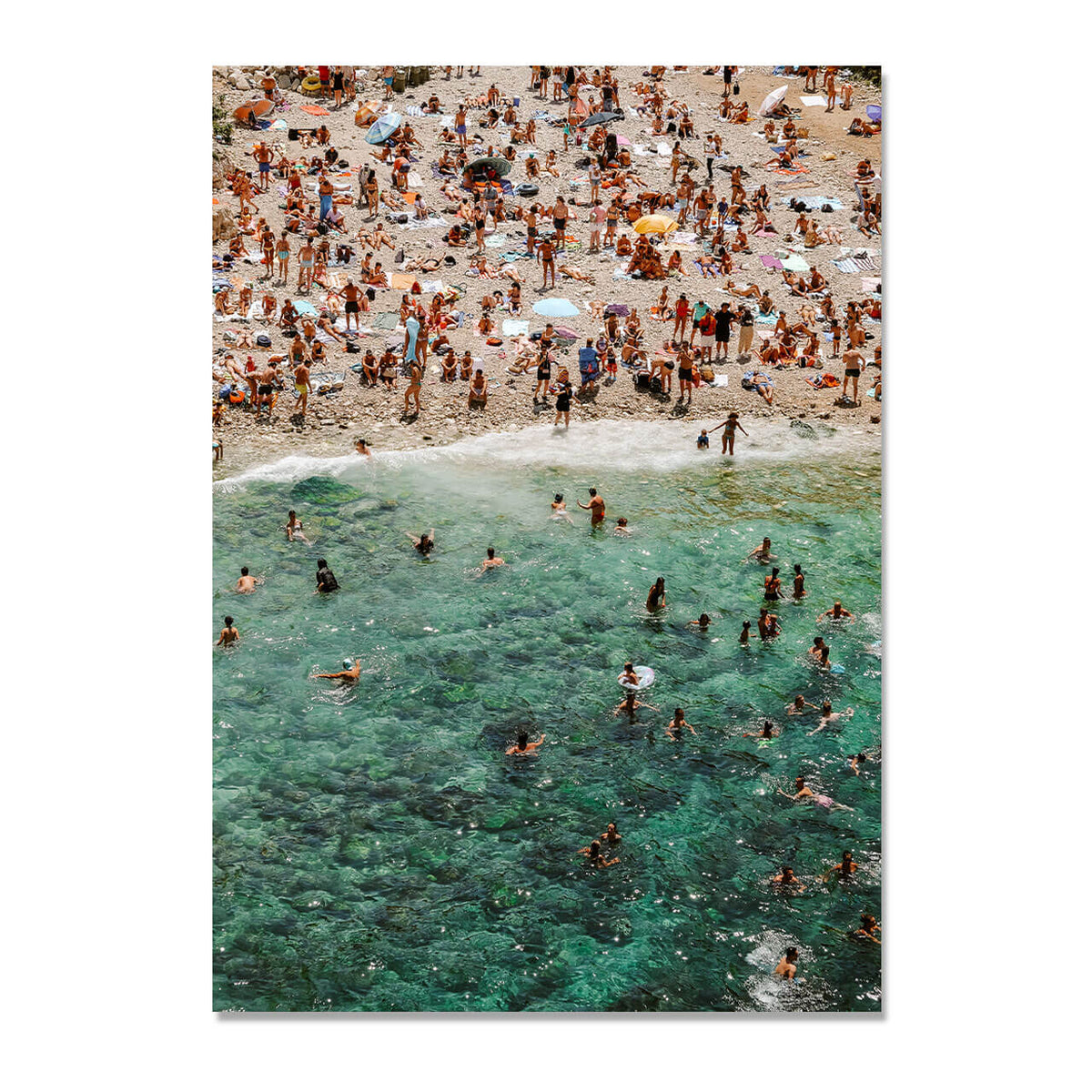 Summer Swimmers Print