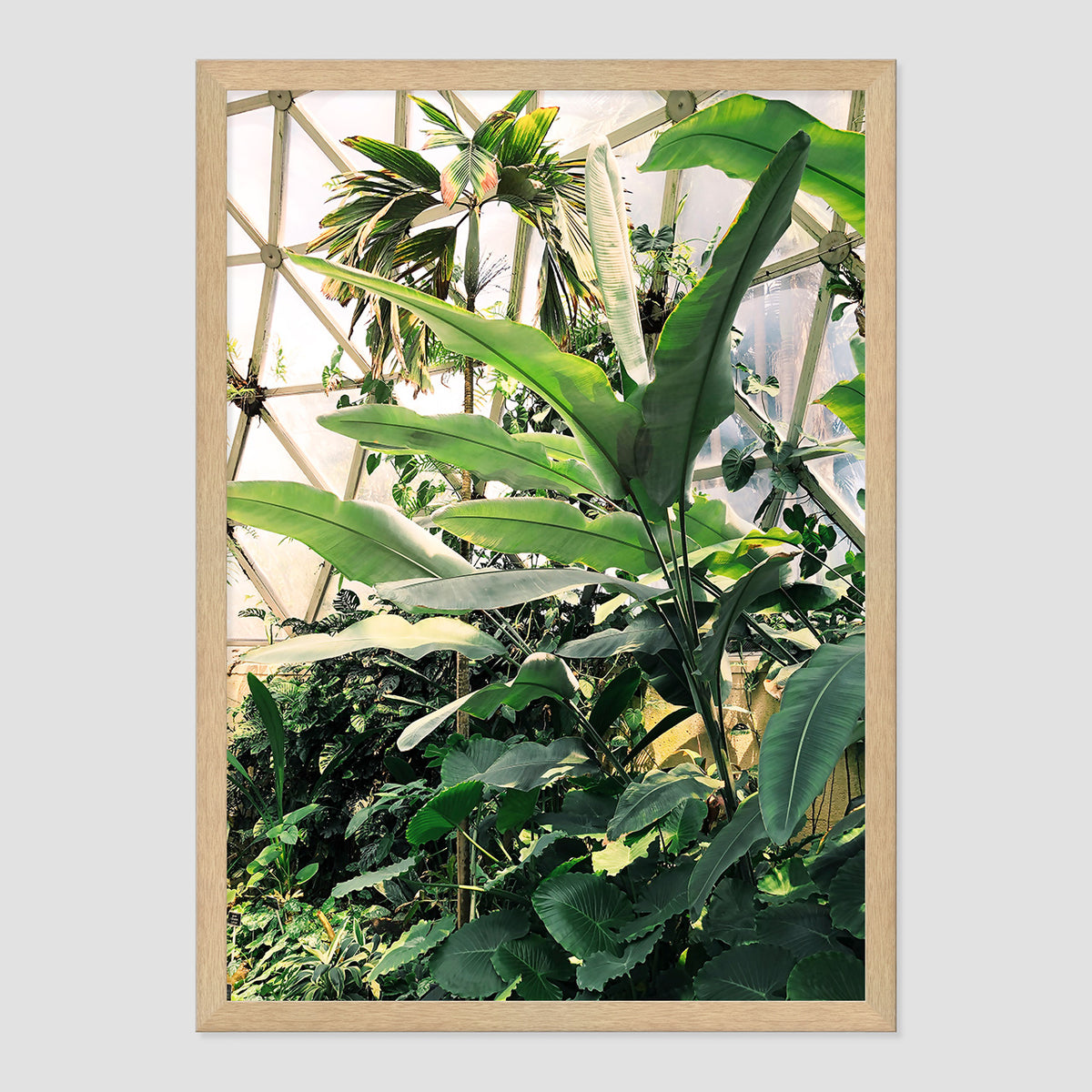 Greenhouse Print