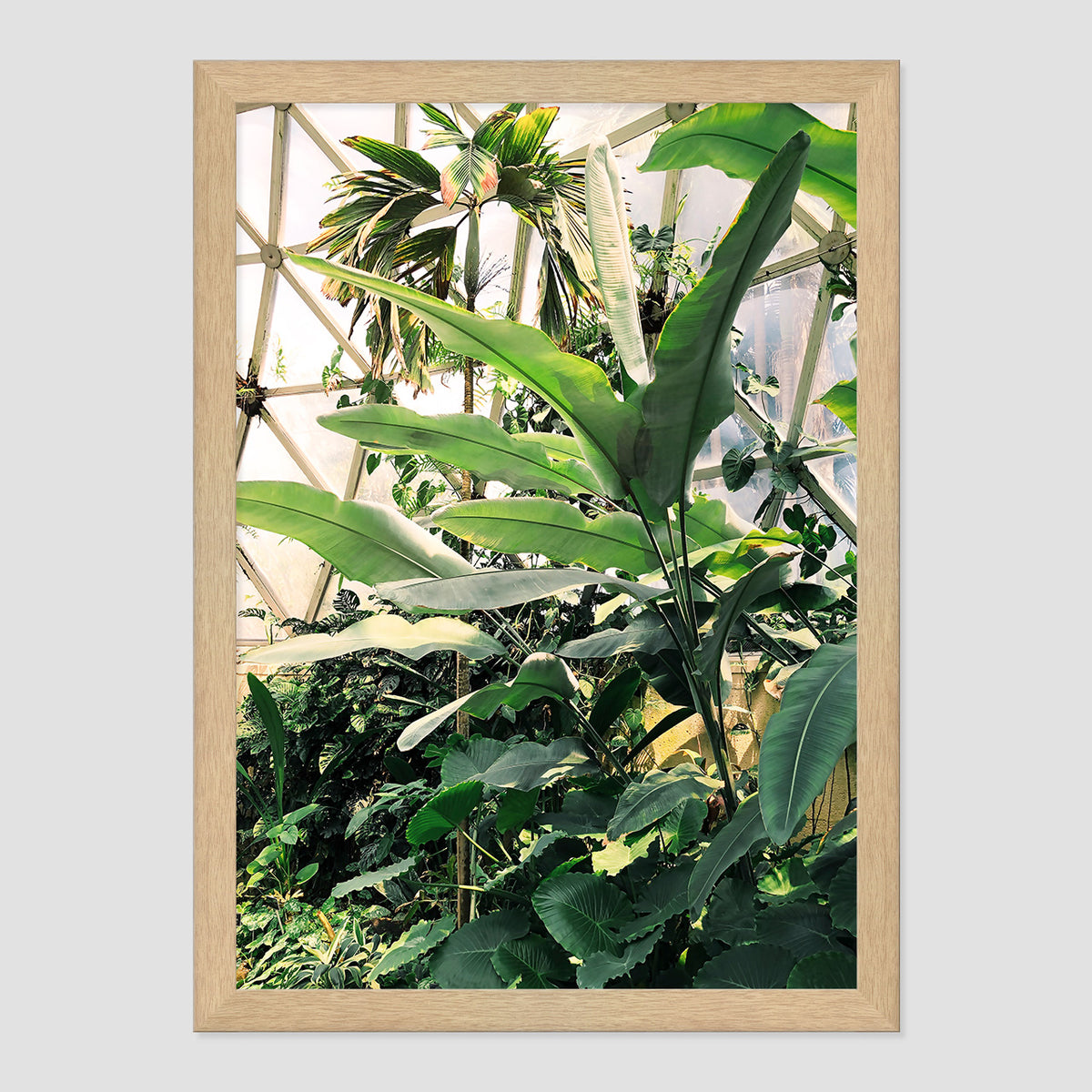 Greenhouse Print
