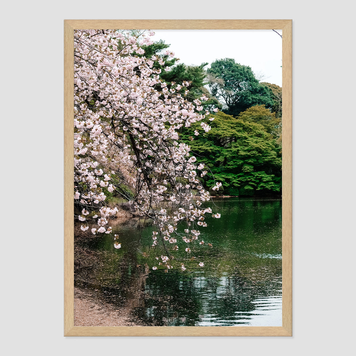 Japanese Garden Print