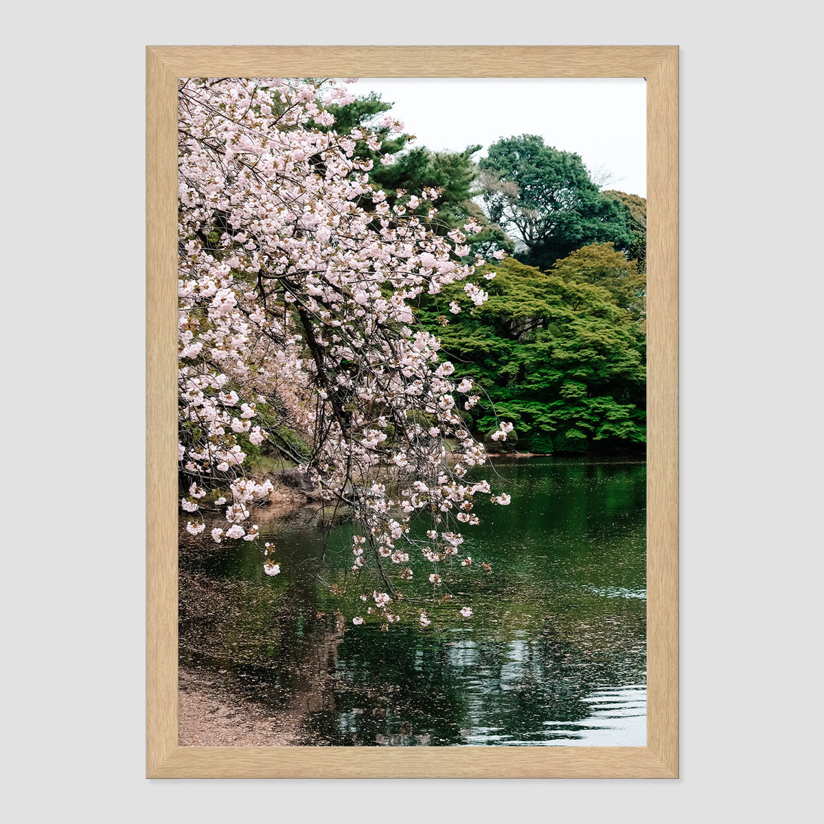 Japanese Garden Print