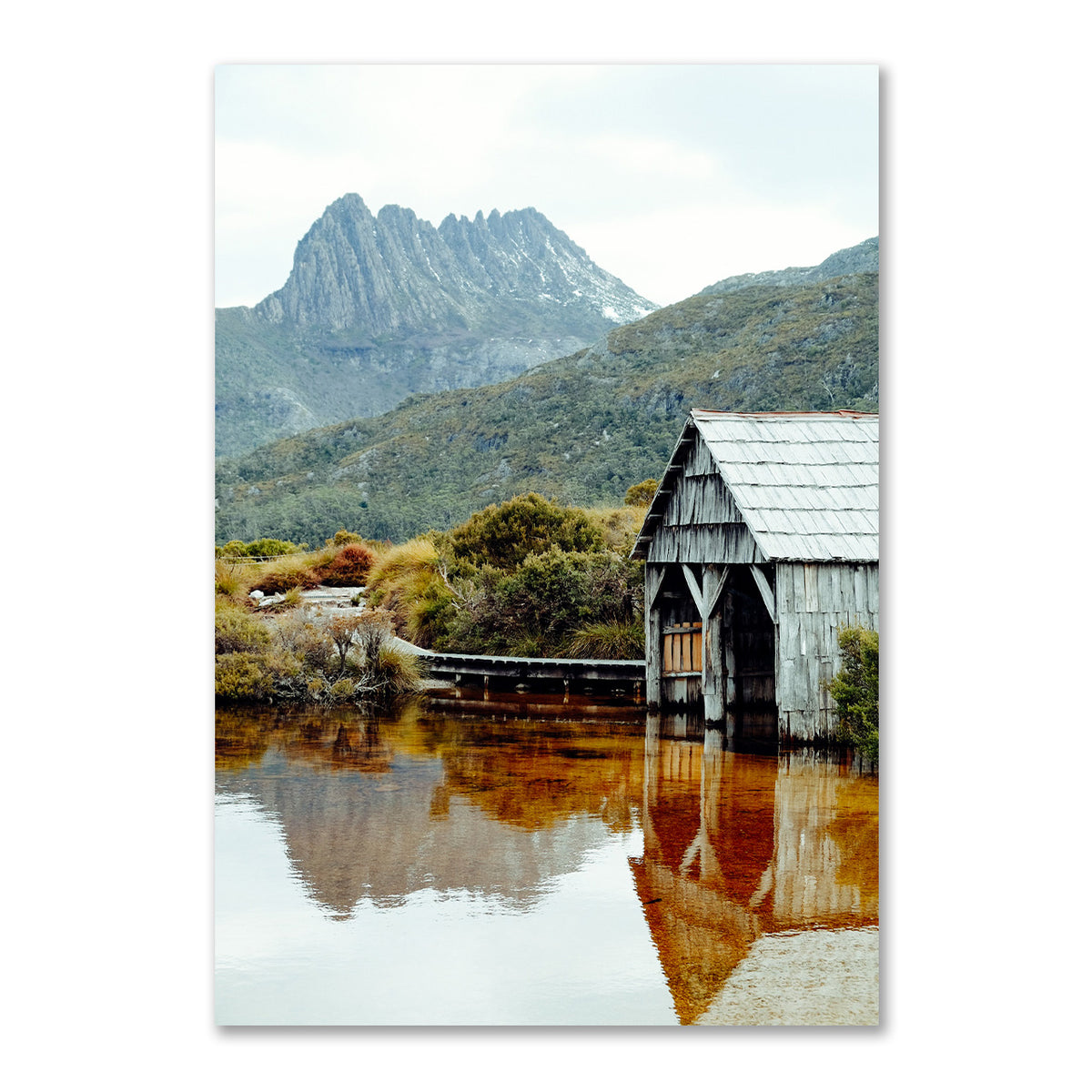 dove lake print