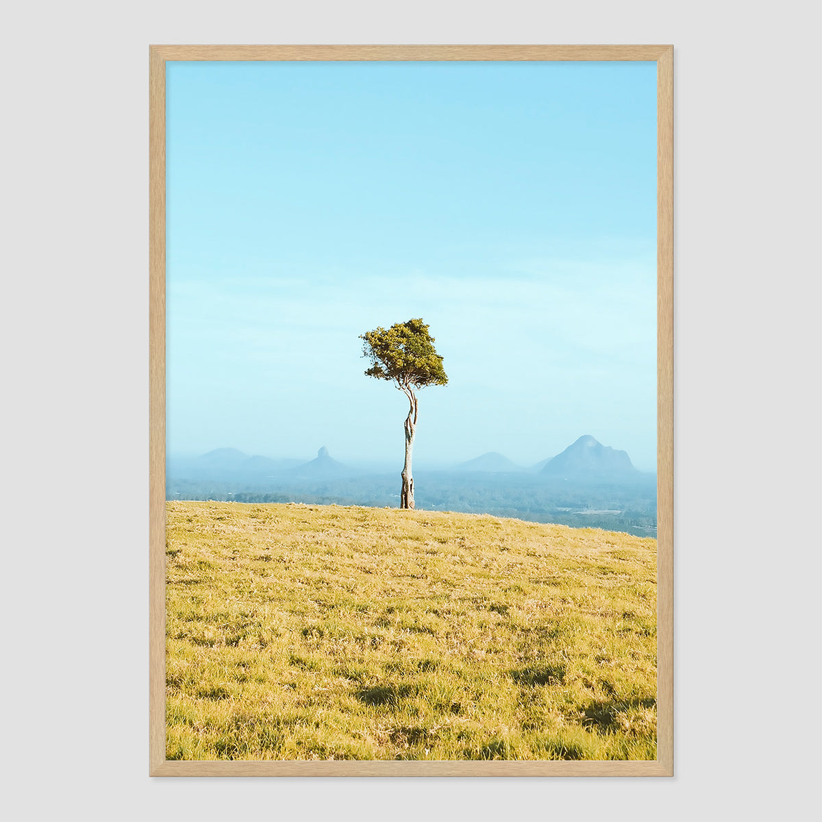 One Tree Hill Print