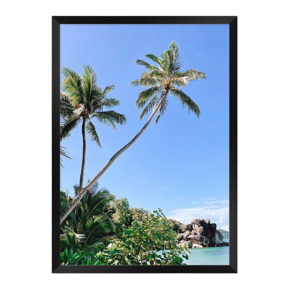 Palm Beach Print