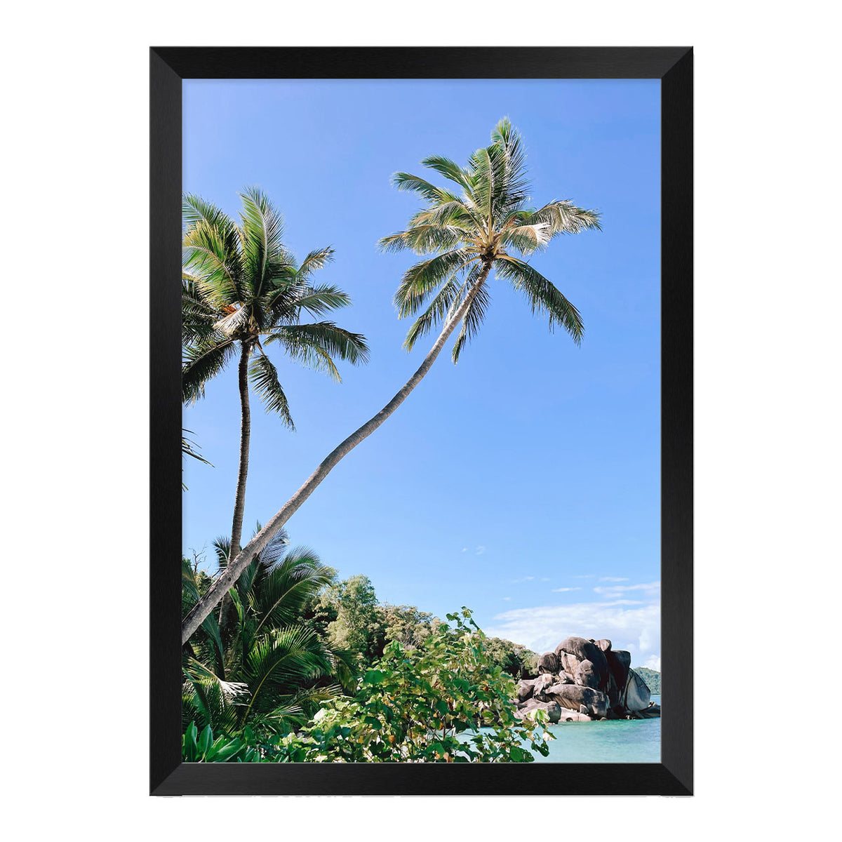 Palm Beach Print