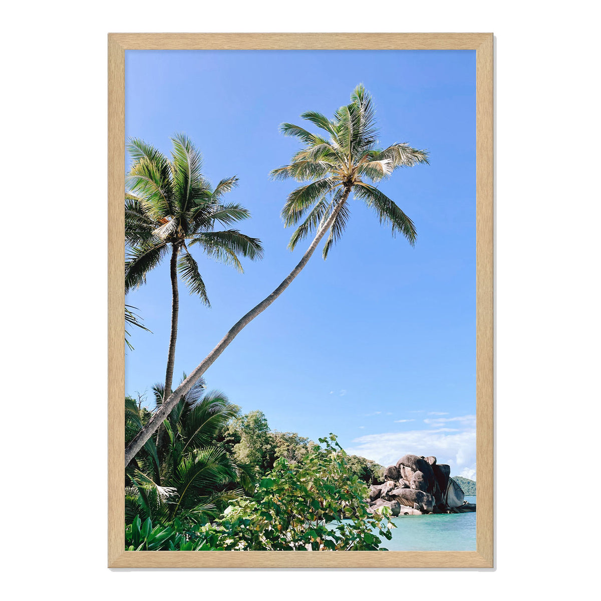 Palm Beach Print