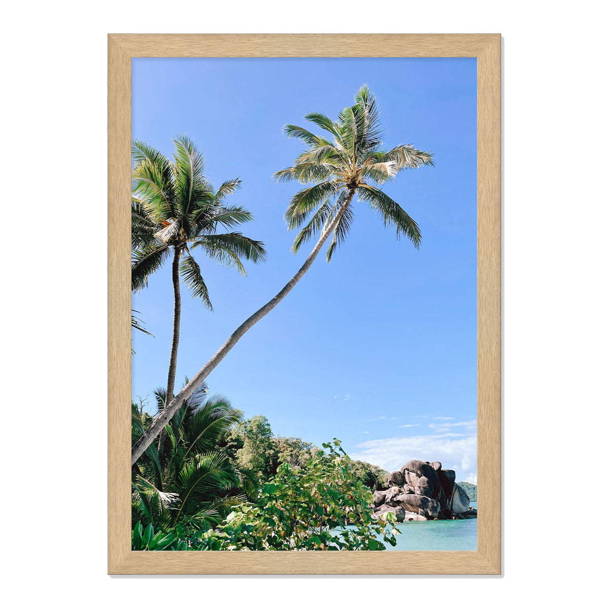Palm Beach Print