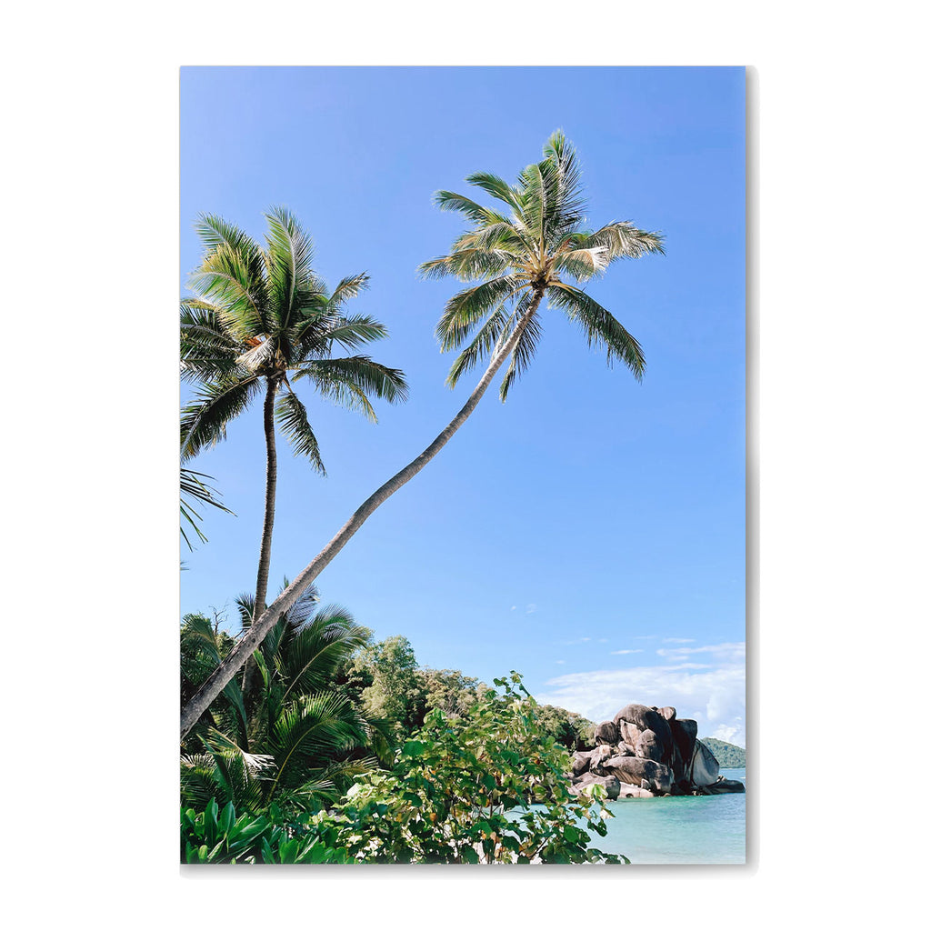 Palm Beach Print
