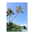 Palm Beach Print