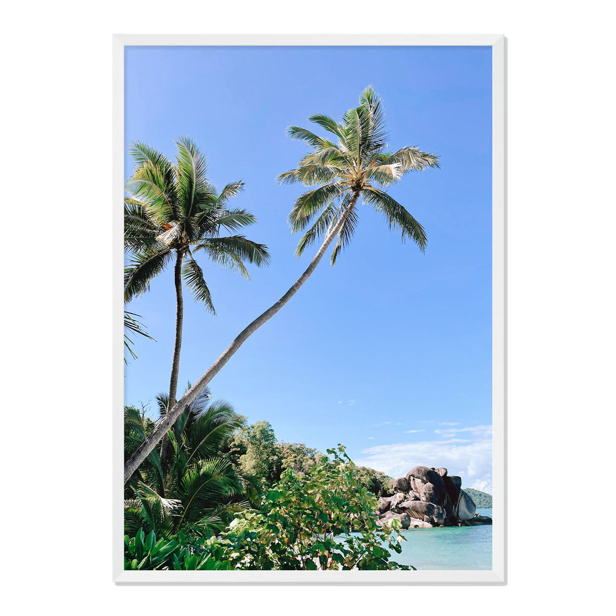 Palm Beach Print