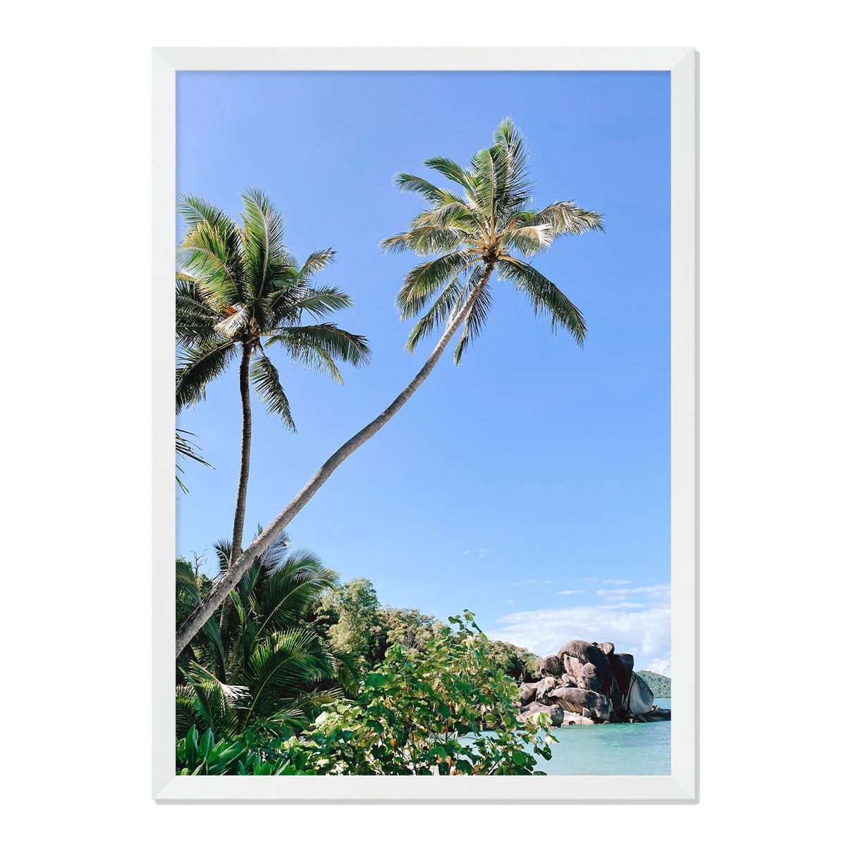 Palm Beach Print