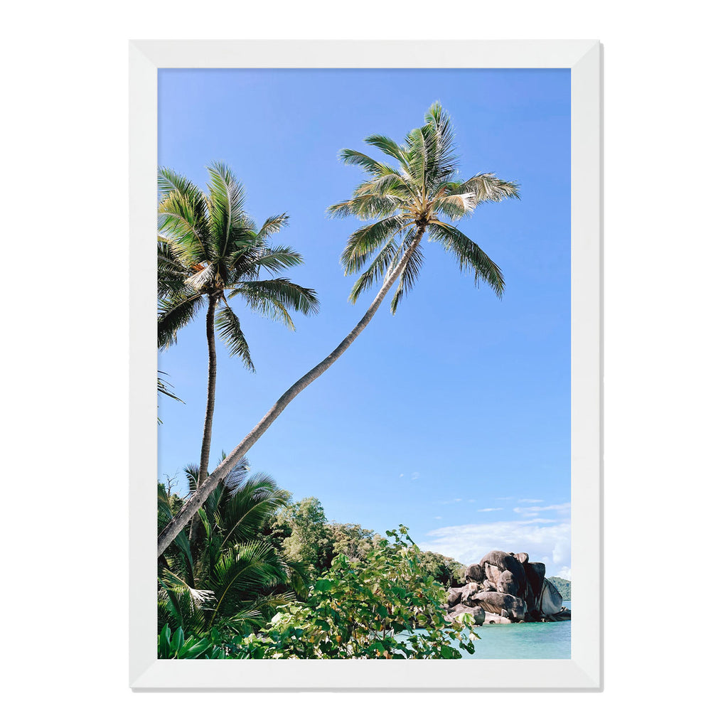 Palm Beach Print