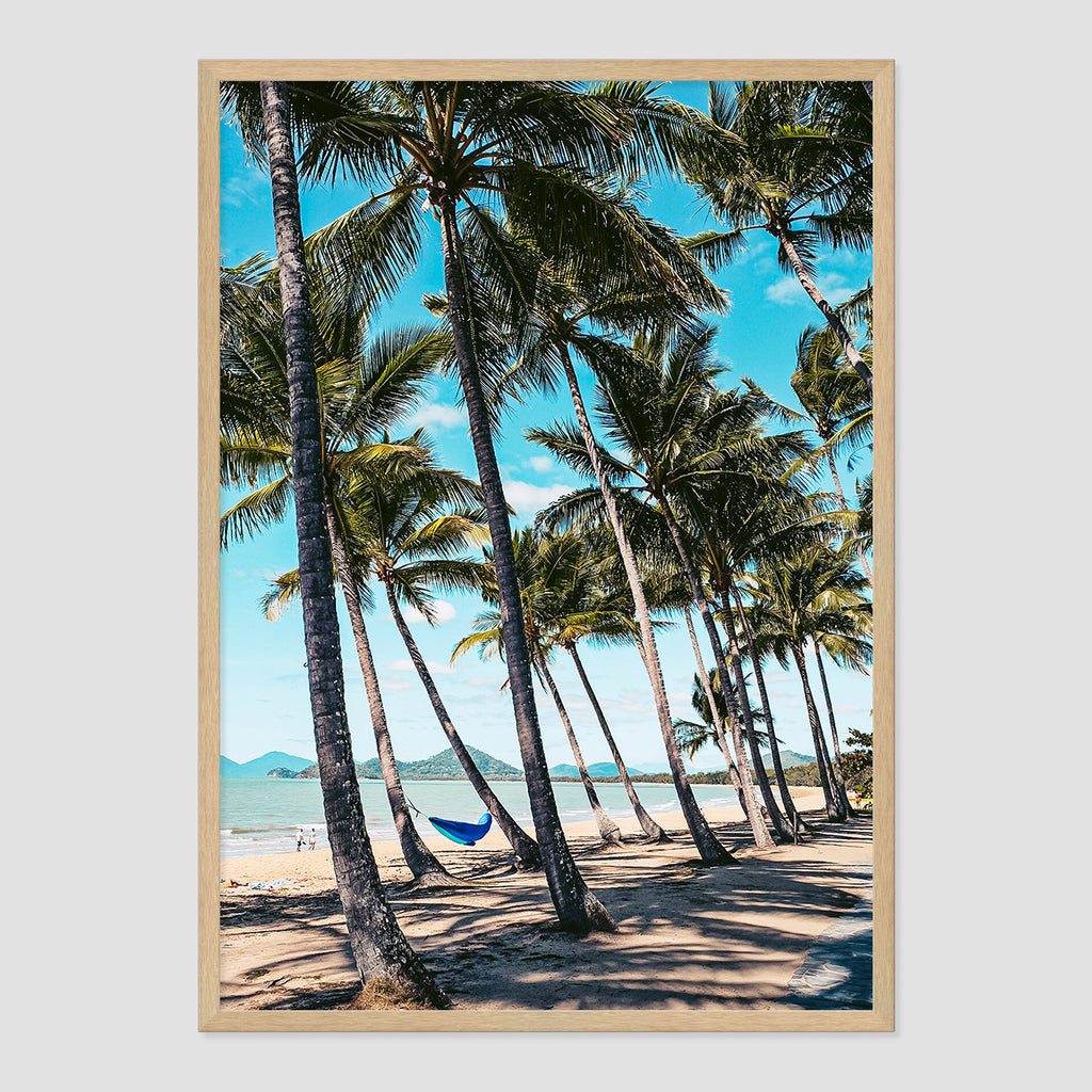 Palm Cove Print
