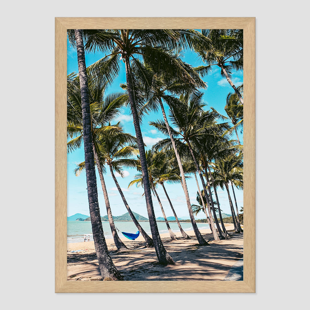 Palm Cove Print