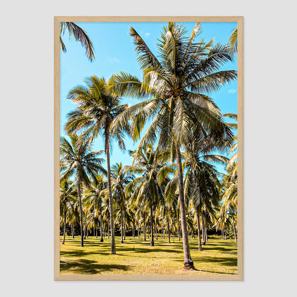Palm Farm Print