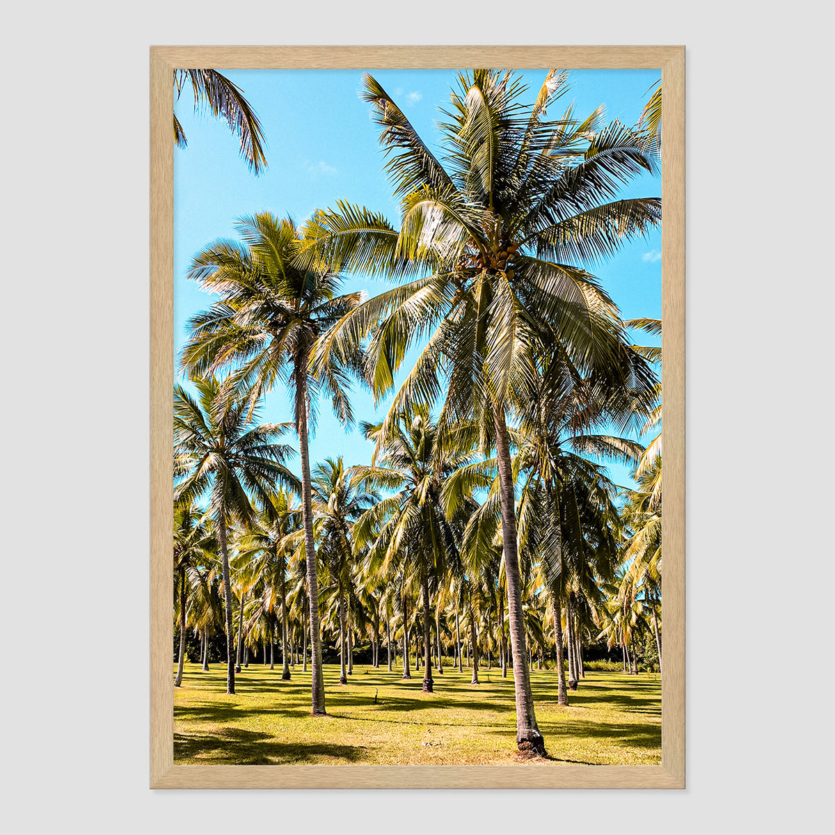 Palm Farm Print