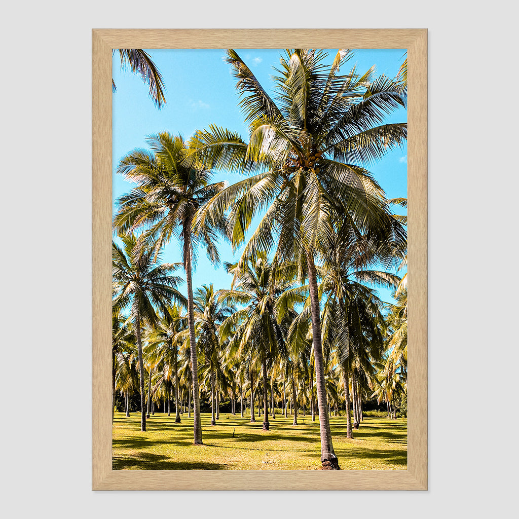 Palm Farm Print