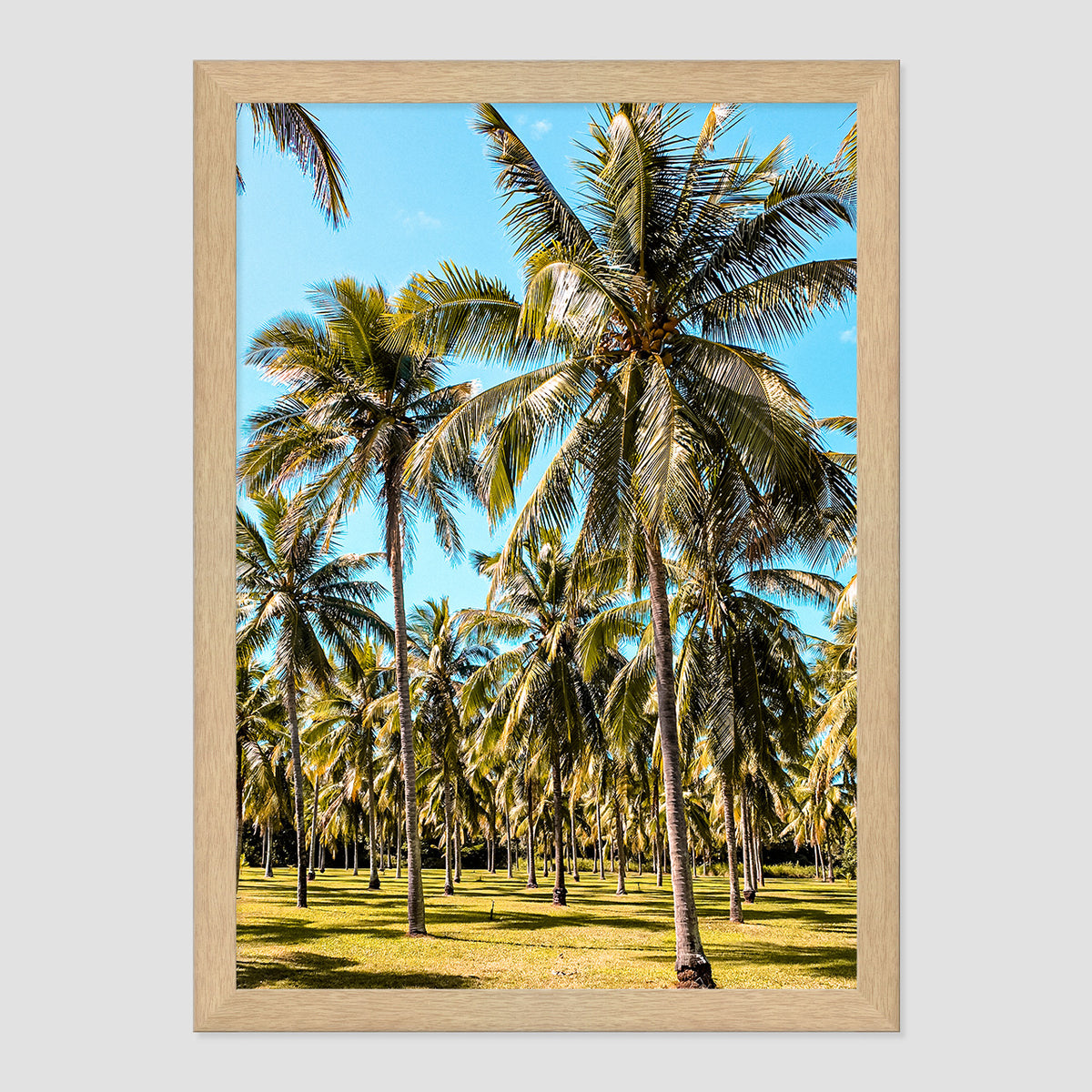 Palm Farm Print