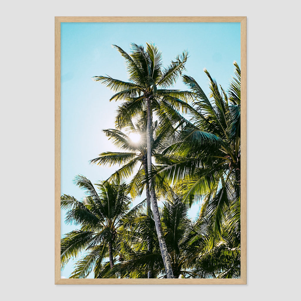 Palm Skies Print