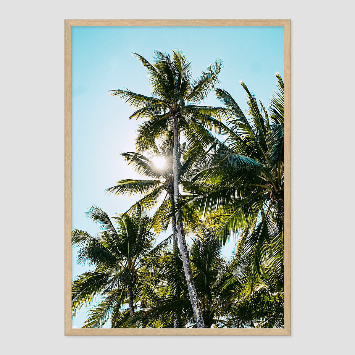 Palm Skies Print