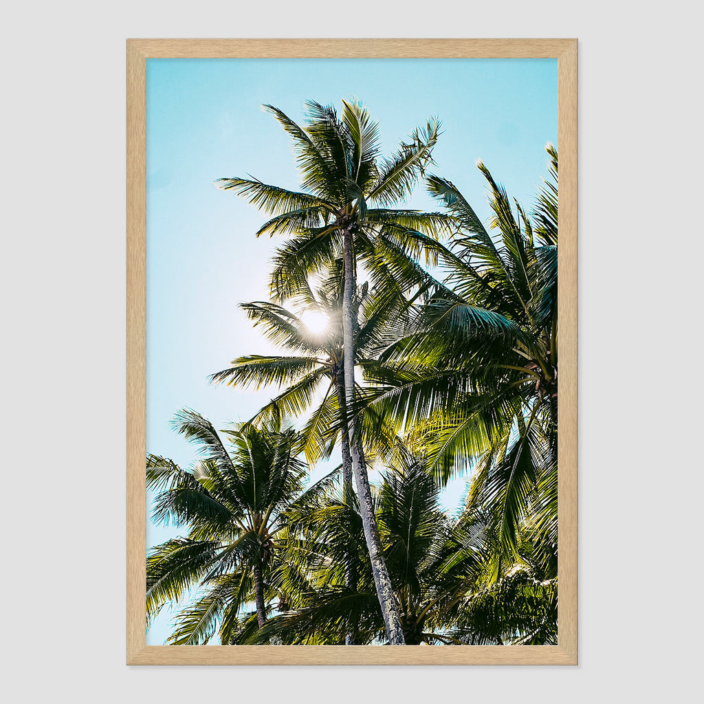 Palm Skies Print