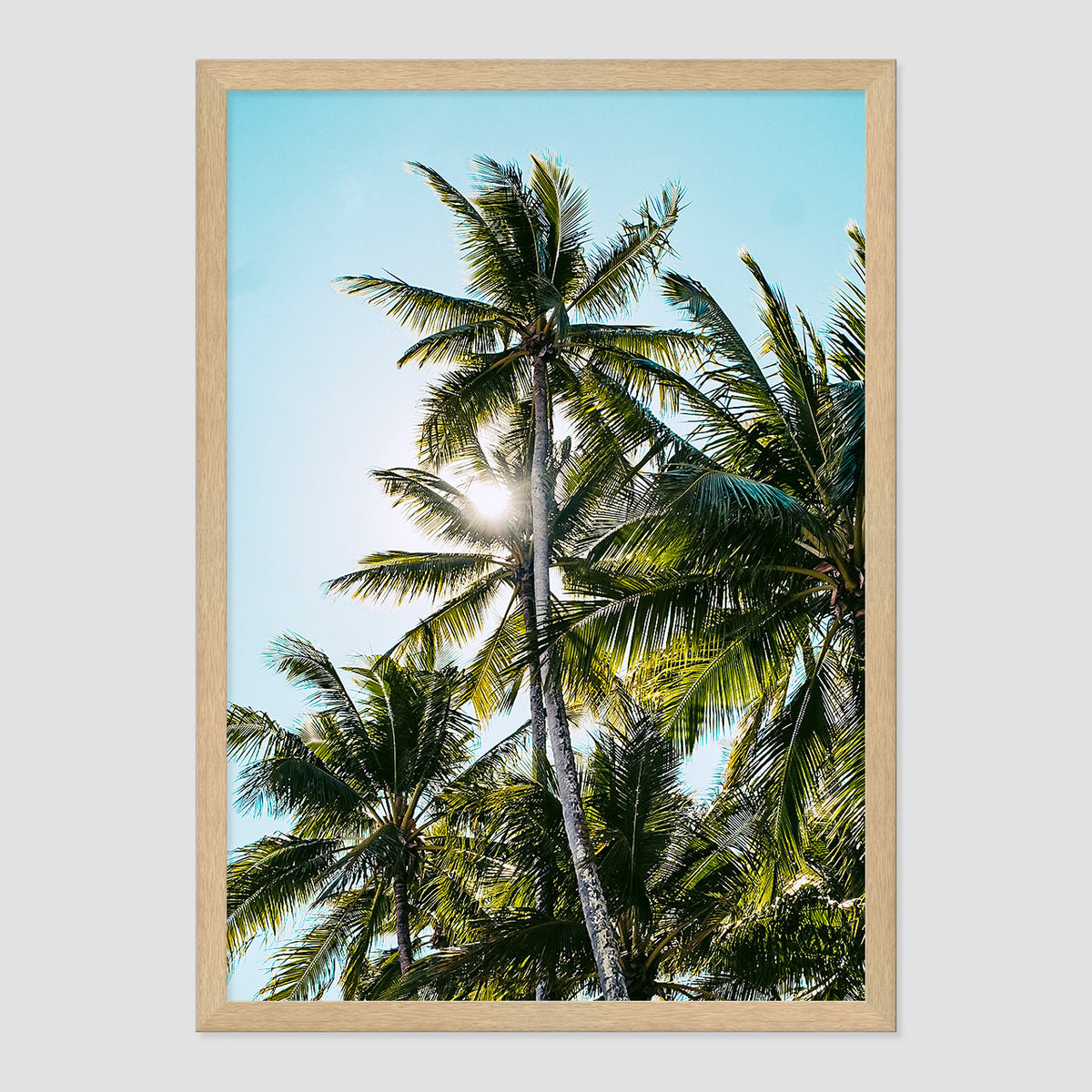 Palm Skies Print