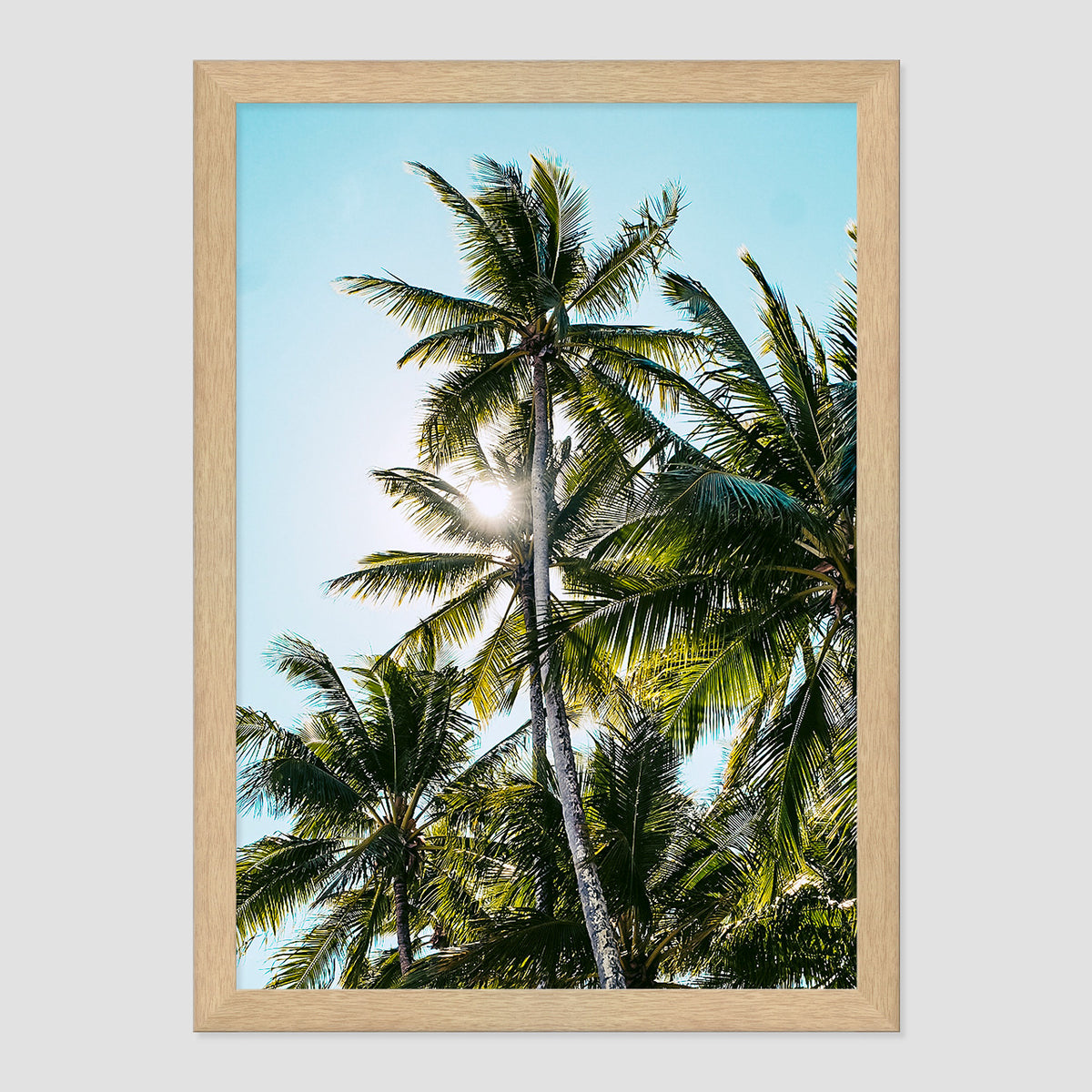 Palm Skies Print