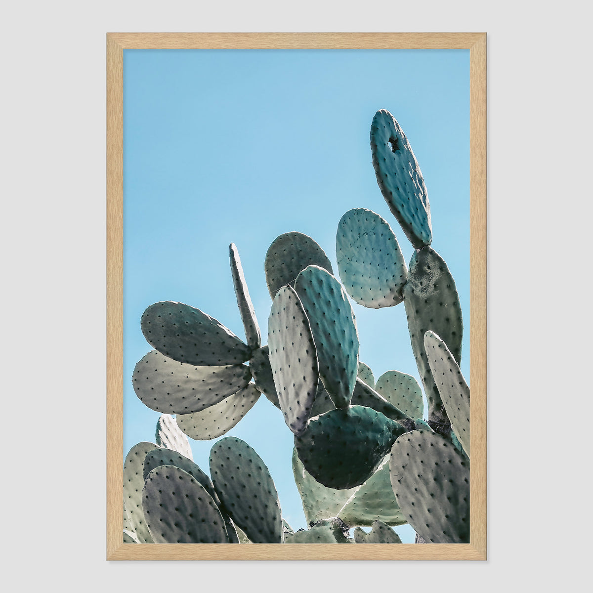Prickly Pear Print